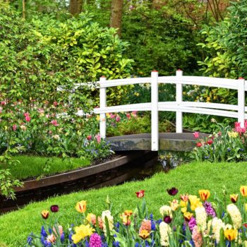 Comment créer un massif de fleurs dans son jardin ?