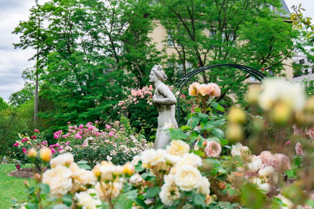 Protéger ses plantes extérieures