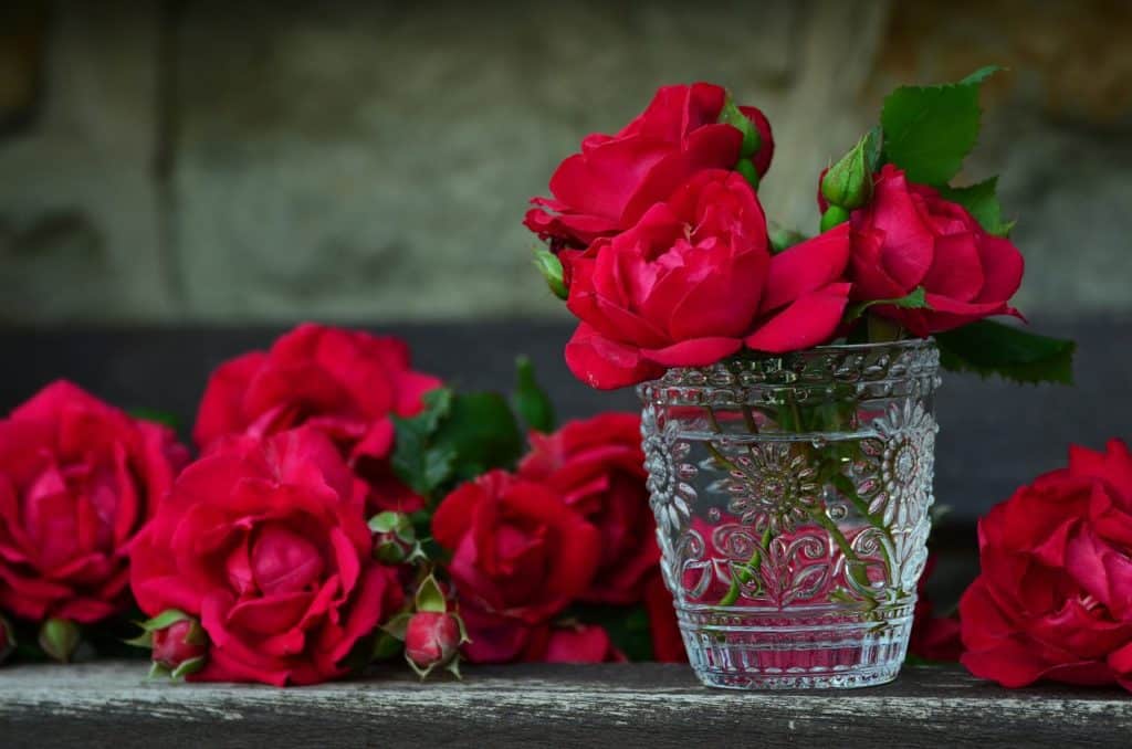 Choisir un vase