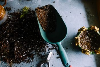 Comment désherber un massif de fleurs sans pesticides ?