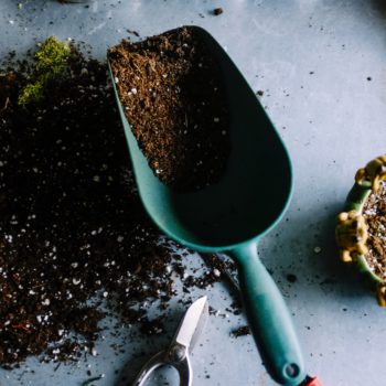 Comment désherber un massif de fleurs sans pesticides ?