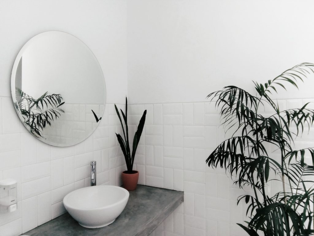 plantes pour salle de bain