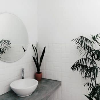 Comment intégrer des plantes dans votre salle de bain pour une touche de verdure ?