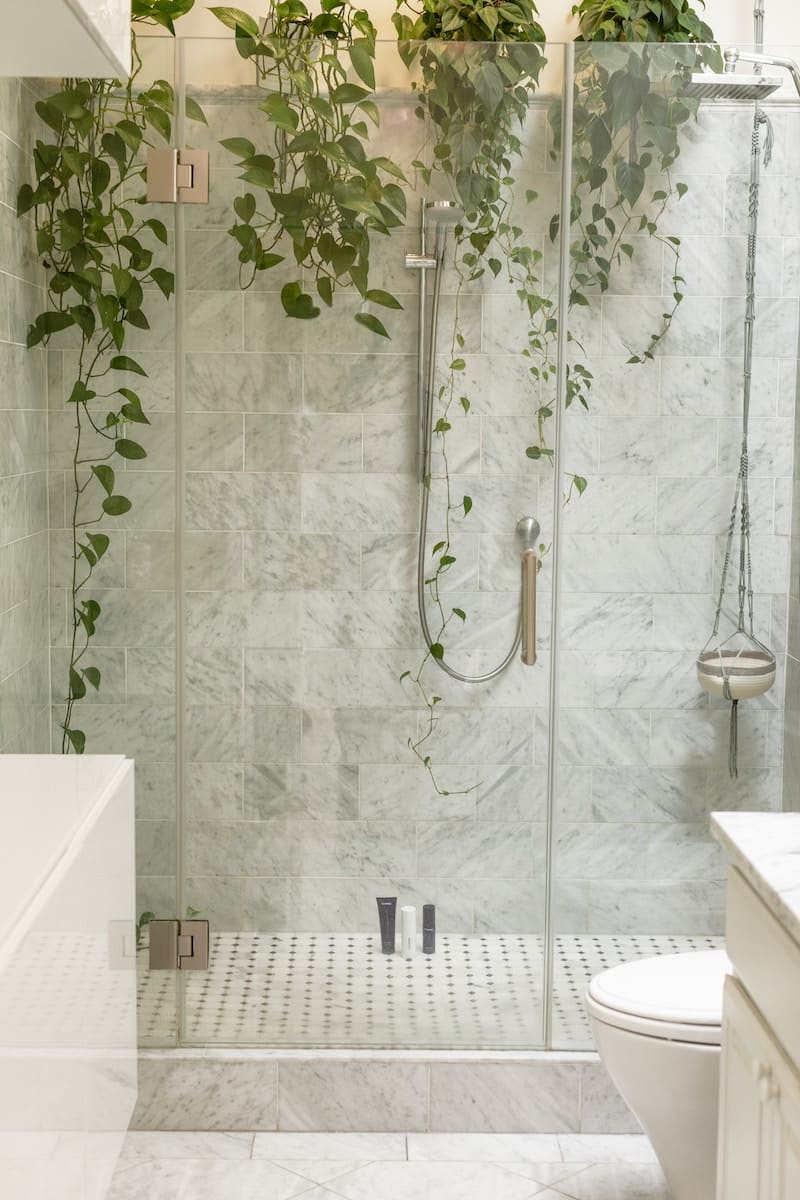 plantes suspendues dans salle de bain